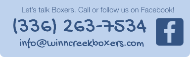 Let's talk Boxers. Call or follow us on Facebook!
